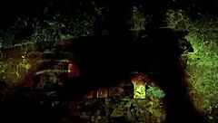 Vintage illustrations of antique erotic scenes