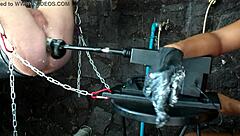 What does this sex machine do to you?