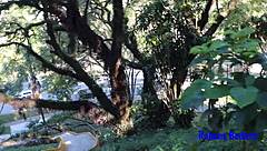 blonde girl gives pussy to masturbator in square