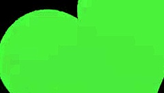 fern animation the only shoe story