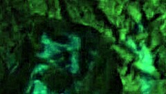 Let's play Paradise Trails VR part 2