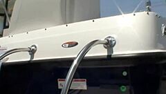 India Summer Sucks Big Black Cock