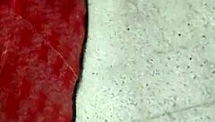 Colombiana beauty in seductive pose