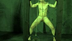 Watch her get tied up and sucked roughly? Her wet cunt begs for more!