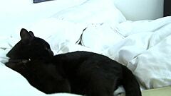 Faye Reagan and Georgia Jones are DTF roommates that love licking pussy and getting double penetration!