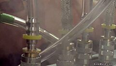 Lesbians fuck anally hard!