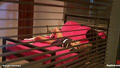 College beauty tied up and brutally fucked