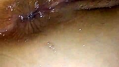 The Marvels Experiences Returns With New Adventures