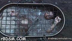 T Beauty's Brunette Slave Gets Holes Fucked With Toys In BDSM.