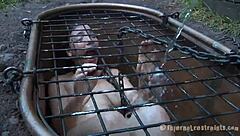 T Beauty's Brunette Slave Gets Holes Fucked With Toys In BDSM.