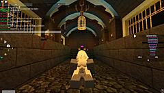 Is This 119 Roblox Porn Deepthroat or Assfucking?