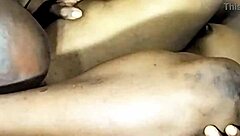 ogpussy ebony black treats boyfriend with creamy pussy