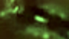 Slut Sucks Dick, Gets Cumshot In Mouth