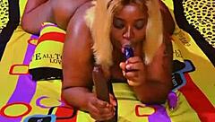 Sundaydogood614's homemade video update from November 3