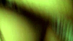 European Neighbor Pt Detailed Encounter