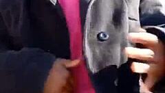 See through fingering and anus spreading?