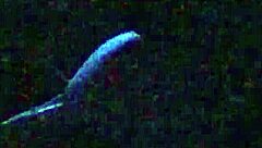 Behind the scenes with the secret model