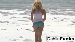 hot dahlia sky masturbates her pussy in solo compilation, teasing with tits and ass