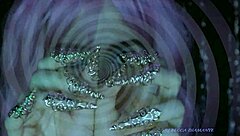 La Dea Italiana Ipnotica Ti Svuota La Mente Totalmente Rilassato E In Mio Potere ASMR