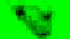 Wetting leggings with raw passion while savoring a wild golden shower