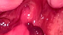 Amateur pink pussy explored 132 days post-virginity