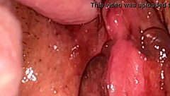 Amateur pink pussy explored 132 days post-virginity