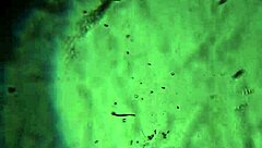 aqui tienes mas de mi esperma para preñarte 😏