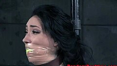 Master dildo fucks beauty from behind