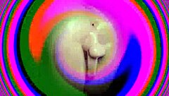 Sissy training sis-256 dumber the better - a collection of sissy training videos