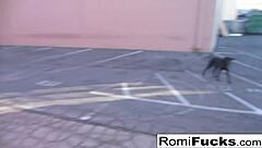 Romi Rain & Dani Share Lesbian Black-Light Fun With Big Tits