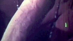 vintage orgy double penetration blowjob