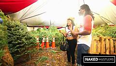 Is Jayla Foxx Fucking at the Christmas Tree Lot?