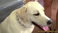 Watch this pornstar take doggystyle spunk