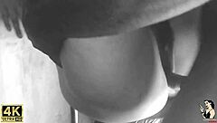 Pele Vip & Chayenhy - Trailer I Got My Neighbor Married