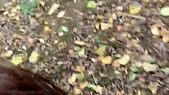 a quick outdoor fuck in public