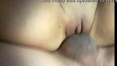 vaginal penetration without condom, focusing on clitoris and large inner lips.