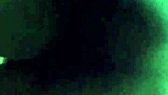 Misssweetteen's Profile - Porn vids, Pics & More