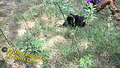 Ever seen a bhabhi getting wild in the fields?