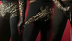 Sexy strip tease dance sparks sensual and provocative moves