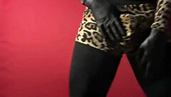 show de exibicao movimentos de strip tease danca sedutora performance de sensualidade e provocacao