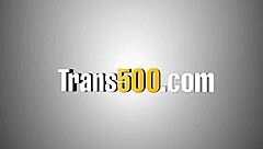 Slutty Transsexual Jerks Off Monster Cock Then Rides It Hard In Sloppy Assfucking Session!