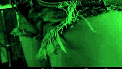 Is This Bondage Restraint Enough for Your Submissive Girl's Sex Needs?