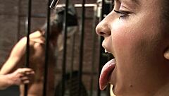 BDSM Fetish Domination Orgy