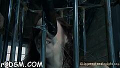 Is the gagged bondman enjoying femdom vibrator gratification?