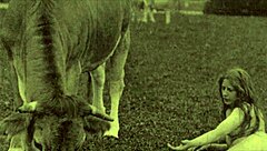 Dark lantern entertainment presents from my secret life the erotic confessions of a victorian english gentleman