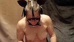 Slave Ponygirl Gets Licked And Humiliated In Doggy Style