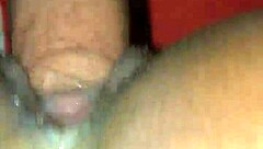 Cogiendo Mi Amiga Sebastiana De Perrito