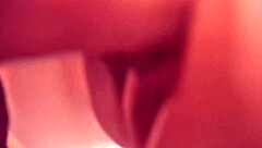 The sex in doggy style with macro lens is a wonderful view