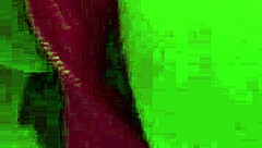 A young white girl spreads her ass and gets fucked by her brother