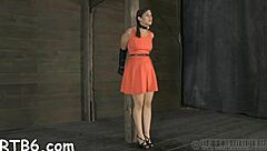 Sadomasochism stories